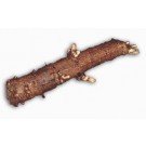 Centennial 2 Pack Hop Root Rhizome From Strange Brew