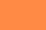 Bazic Poster Board, 22 x 28 Inches, Orange (Case of 25)