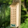 Coveside Solitary Bee House