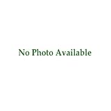 Bundle of 6 Willow Screen Stakes by Plow & Hearth