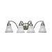 Sea Gull Lighting 40012-773 Alexandria Four-Light Vanity, Two-Tone Nickel Finish with Clear Highlighted Satin Etched Glass