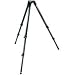 Bogen-Manfrotto 535 Carbon Fiber 2-Stage Video Tripod with 75mm Bowl (Black)
