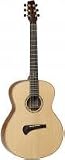 Tanglewood TSM-1 Michael Sanden Acoustic Guitar inc Hard Case