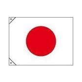 日本緑十字社 旗 日章旗（特大）