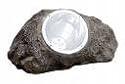 Newport Solar Solar Rock Garden Spot Light 4 L.E.D