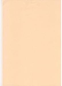 A4 Coloured Paper 80gsm Craft Paper Packs Printer Copier Paper AND OR 160gsm Card (Salmon Peach, 100 Sheets)