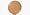 Chestnut