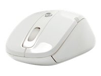 Mad Catz Nexus Silent Maus (1600dpi, USB 2.0) wei&szlig; Preisvergleich