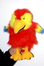 Childrens Toyshop  Toys : Scarlet Macaw Baby Bird Hand Puppet