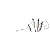 Speck Audio Visual Cable for iPod 5G