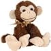 Shining Stars Monkey