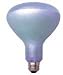 Bulbrite 711076 - 75R40FL/N - Full Spectrum 75 Watt R40 Neodymium Incandescent Flood Light Bulb
