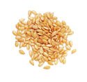 Childrens Toyshop  Gourmet Food : FLAX SEED, GOLDEN (OG)12oz Bag