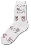 New! Havanese Socks Ladies Socks White Size 9-11