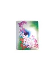 iPad Cover - Specialist Paint - Colour Flowers