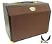 Dean Guitars DA25C Acoustic Amp 25 Watt 25-Watt 1x8 Acoustic Guitar Amplifier with Chorus