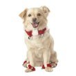 Dog Holiday Collar / Dog Holiday Booties - Holiday Bell Collar w/ 4 Booties Create a Festive Look for Your Pet - Medium