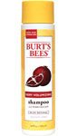Burts Bees Very Volumizing Shampoo, Pomegranate, 10 Ounce 11dNyLOBdOL. SL160 Burts Bees Very Volumizing Shampoo, Pomegranate, 10 Ounce
