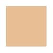 The Rave Cosmetics Liquid Foundation - Bare