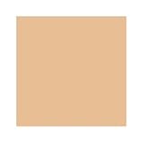 The Rave Cosmetics Liquid Foundation - Bare