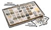 Introductory Rock Collection; Primary presentation of the basic rock type