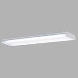 Progress Lighting White Two-Light Flush Mount