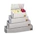 San Jamar B4093L Stainless Steel Non-Chilled Garnish Tray with Plex Lid, 9-1/8" Width x 3-1/2" Height x 5-3/4" Depth