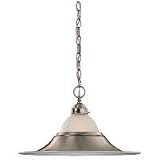 Review Sea Gull Lighting 65005-962 / Sea Gull Lighting 65005-962 One-Light Pendant, Brushed Nickel Finish with Satin Etched Glass