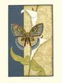 Nouveau Butterflies I by Jennifer Goldberger. Size 13.00 X 20.75 Art Poster Print
