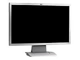 HP W19 19-INCH LCD Monitor.