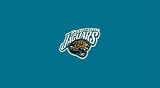 Jacksonville Jaguars Pool Table Felt
