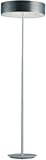 Alumina Contemporary 1 Light Floor Lamp in Brushed Aluminum