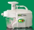 Green Power KPE1304 Twin Gear Juicer Wheatgrass, Vegetable & Fruit Juicer + Multi-purpose Kit