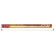 Aqueon Coralife 05627 10000K T-5 Fluorescent Lamp, 30-Inch