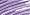 Fly in Violet