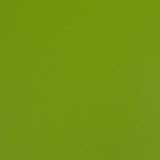 Cavallini 2012 Daily Planner Colored Leather-Lime