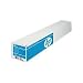 HP Professional SatPhoto Paper 300gsm