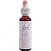 Bach Water Violet (1x20 ML)