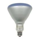 120 Watt Plant Light Bulb R40 Style (5 Diameter) Incandescent Grow Light by General Electric