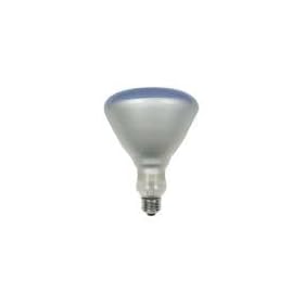 120 Watt Plant Light Bulb R40 Style (5 Diameter) Incandescent Grow Light by General Electric