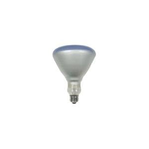 120 Watt Plant Light Bulb R40 Style (5 Diameter) Incandescent Grow Light by General Electric