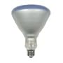 120 Watt Plant Light Bulb / R40 Style (5" Diameter) / Incandescent Grow Light