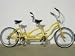 Greenline 7-Speed Shimano Tandem