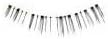 Diamond Lash Japan - Diamond Lash diamond rush Little Wink series Honey eye â˜... 6 Pack Set