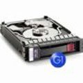 HP/COMPAQ GB0250C8045 250GB Hard Drive