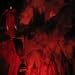 Worldfall Ep