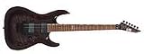 ESP LTD Standard MH250 Electric Guitar - See Thru Black