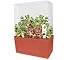 Flytrap Bog Garden Plant Cube Kit