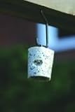 Blue Tit Treat Outdoor Living
