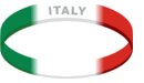 Official 2006 World Soccer Wristband Choose Your Team